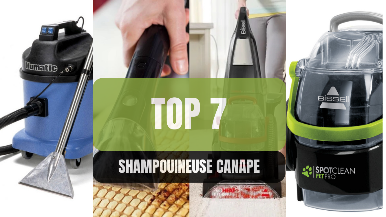 shampouineuse canapé